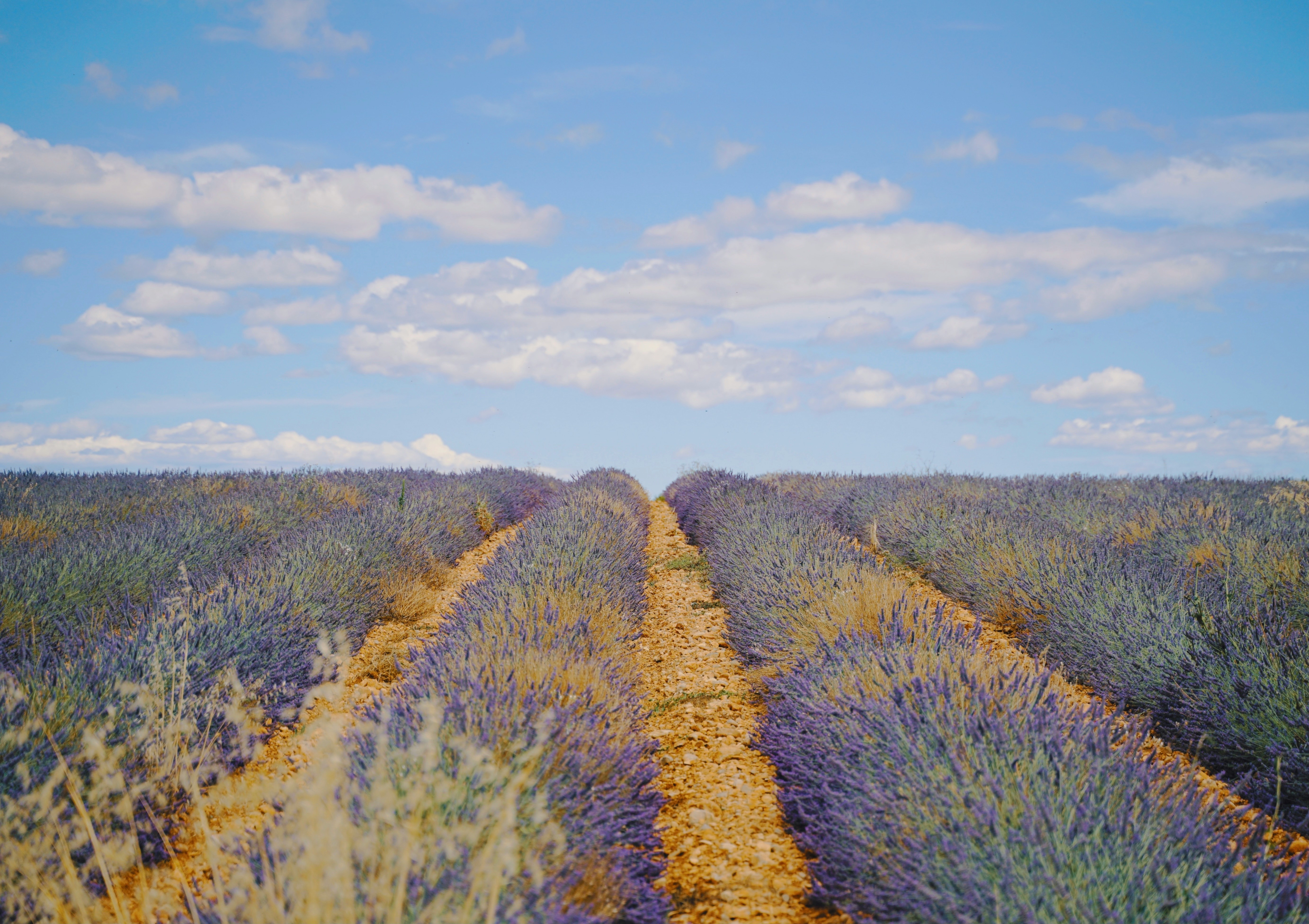 aix-en-provence